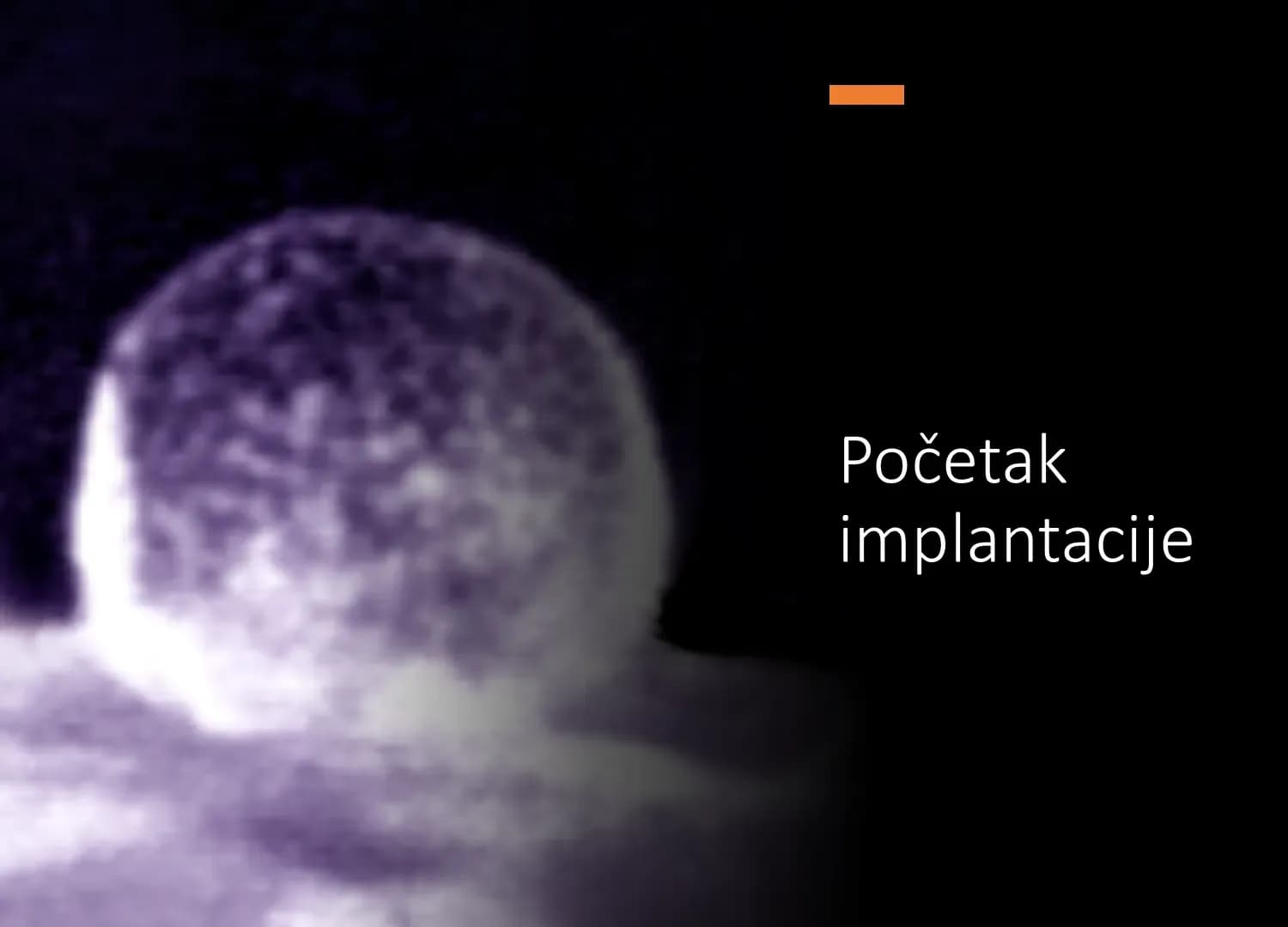 Zametak u kontaktu s površinom maternične sluznice - endometrija, sredinom 4. tjedna trudnoće.