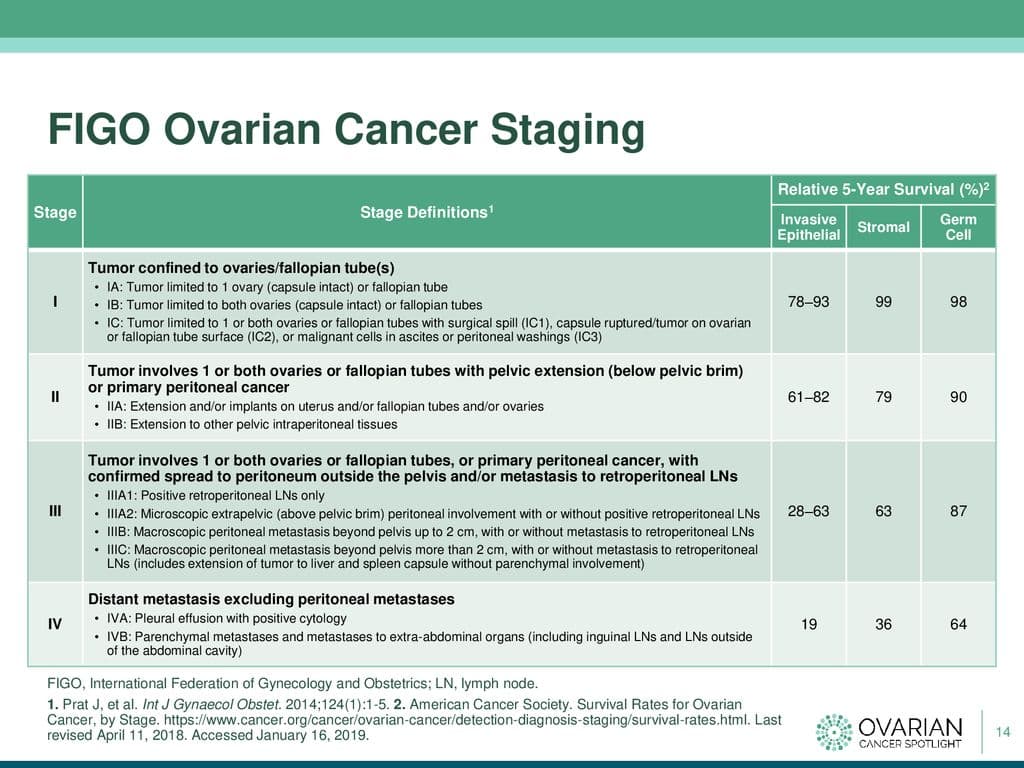 figoovariancancerstaging.jpg