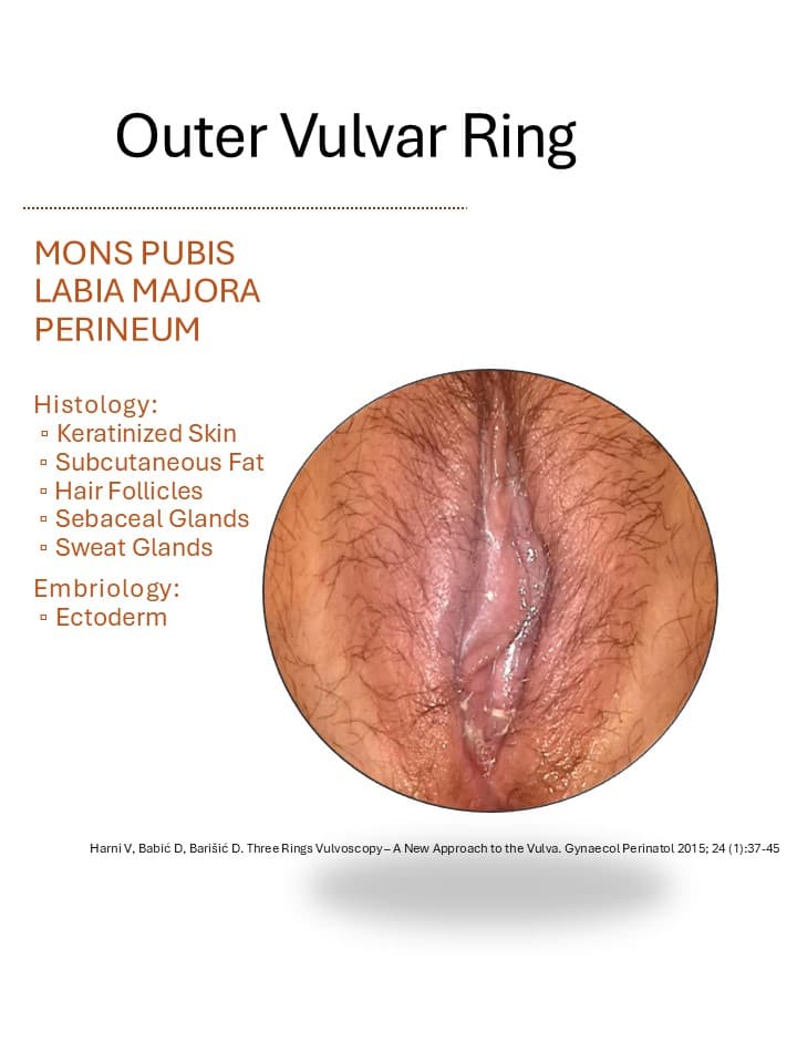 vanjski-prsten-vulve.jpg