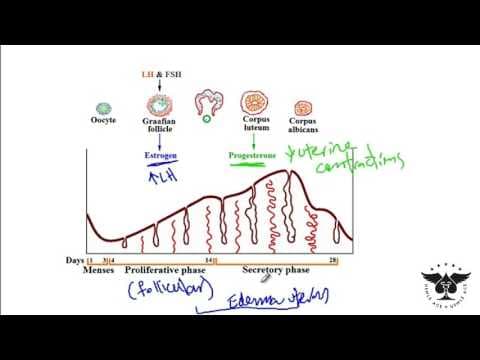 Vaginalni progesteron jednako dobar u IVF postupcima