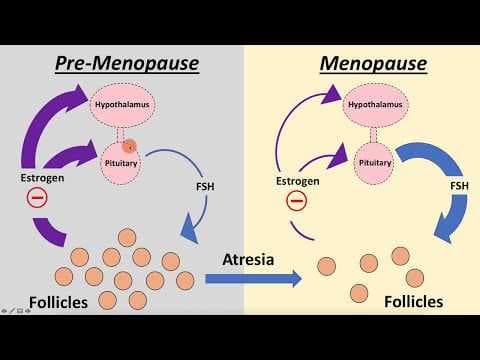 AMH pretkazuje menopauzu