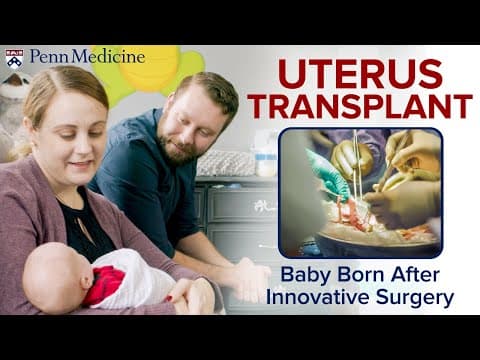 Uspješna transplantacija maternice u miševa