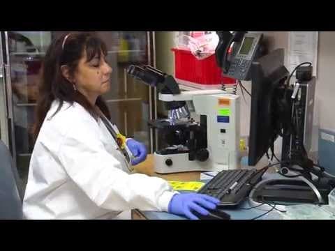 Pretilost i stres potiču raniji pubertet kod djevojčica