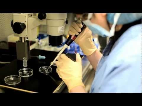 Donirana jajna stanica povećava rizik prijevremenog poroda?