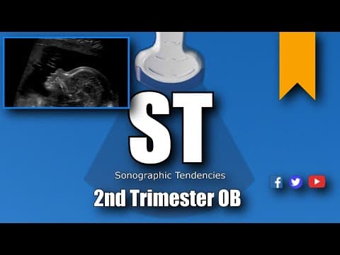 Vaginalni ultrazvuk u 2. trimestru trudnoće