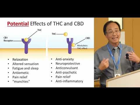 Utjecaj kanabisa na srce: što bi žene trebale znati?