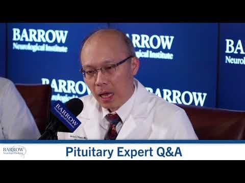 Stres i nadbubrežna žlijezda