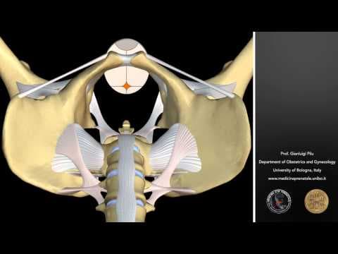 Druga faza porođaja dulja od 2 sata povezana s rizicima