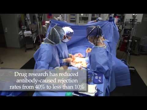 Prestanak uzimanja imunosupresiva nakon transplantacije bubrega nema štetan učinak na tijek trudnoće