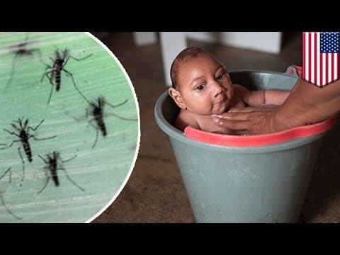 Određene kožne i tkivne lezije ukazuju na infekciju Zika virusom