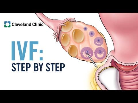 IVF postupak korak po korak