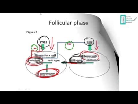 Oralna kontracepcija i adolescenti