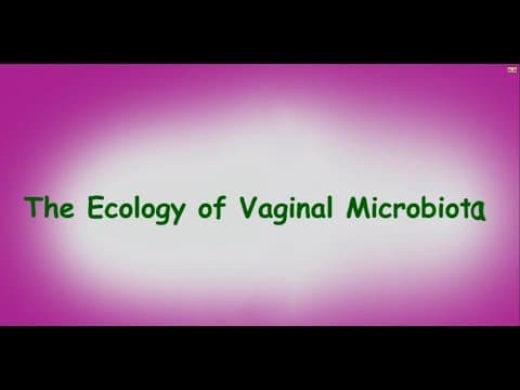 Laktobacili i oporavak vaginalne flore