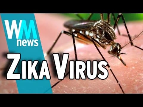 Zika virusna infekcija: Što kliničari moraju znati?