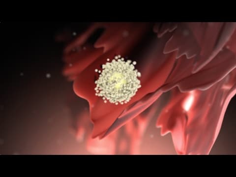 Stimulacija ovulacije i periodontalne bolesti