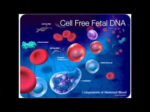 Invazivna prenatalna dijagnostika