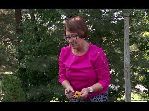 Protutijela protiv štitnjače i sluh potomaka