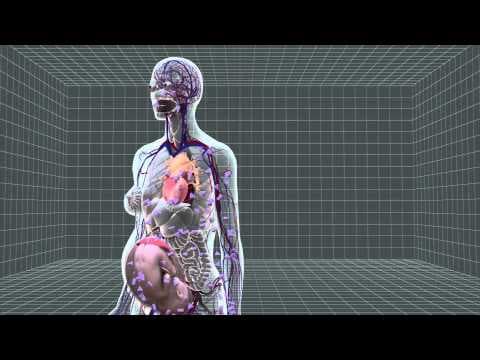 Prevalencija gestacijskog dijabetesa u SAD do 9,4%