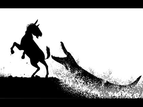 Zdjelična venska kongestija: stvarni uzrok zdjelične boli?