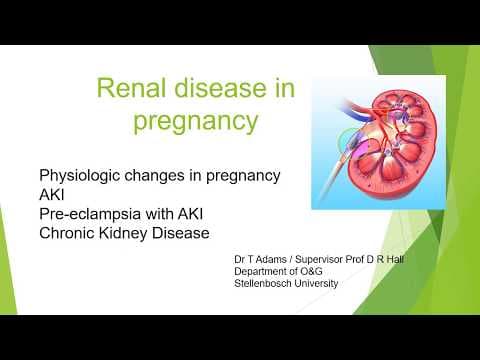 Bolesti bubrega i trudnoća