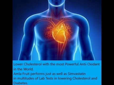 Simvastatin učinkovit kod PCOS