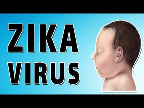 Infekcija Zika virusom u trećem tromjesečju ne uzrokuje prirođene mane