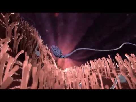 Neki lijekovi mogu utjecati na učinkovitost pilule za dan poslije