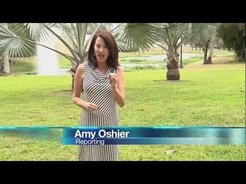 Rak jajnika u obitelji bolesnica s rakom dojke