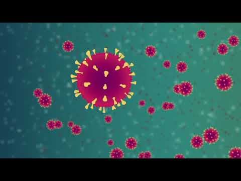 Novorođenčad majki s COVID-19 može razviti fetalni upalni sindrom