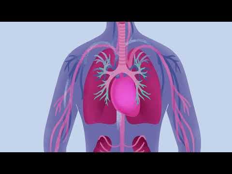 Uočena oštećenja miokarda u nekih trudnica s teškim oblikom COVID-19