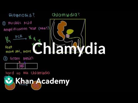 Azitromicin nije lošiji od doksiciklina u liječenju klamidije
