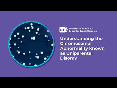 Aneuplodija i spontani pobačaj