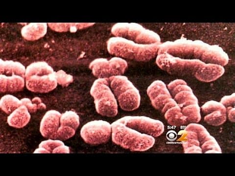 Identificiran još jedan gen za rak dojke