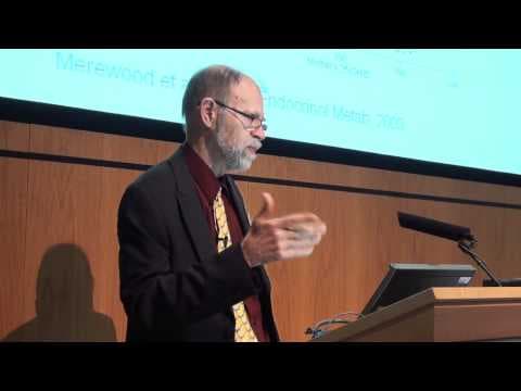 Vitamin D u trudnoći jača djecu