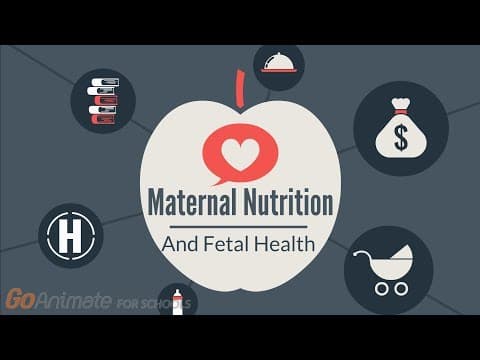 Izloženost gladi prije rođenja udvostručila rizik od razvoja dijabetesa tipa 2 u odrasloj dobi