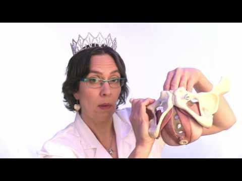 Seksualna funkcija bolja s laparoskopskim mrežicama u terapiji cistocele