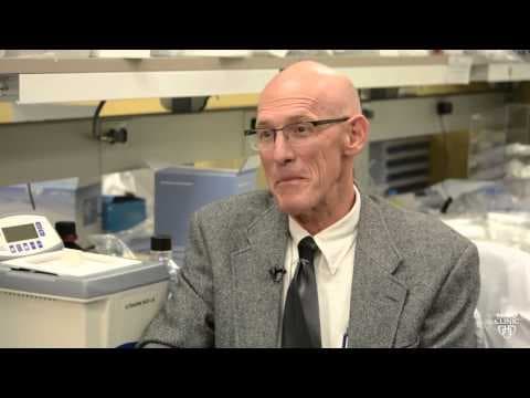 Kreće razvitak zika cjepiva