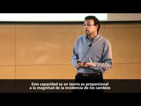 Fetalno programiranje: Kako razvoj u maternici oblikuje naše zdravlje