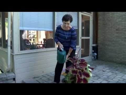 Intraperiteonealna kemoterapija kod raka jajnika