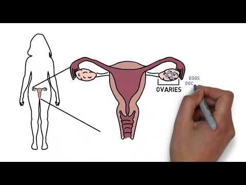 Zamrzavanje jajnih stanica i potpomognuta oplodnja