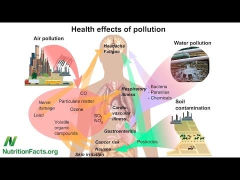 Efekti prenatalne izloženosti dioksinu ovisni o spolu djeteta