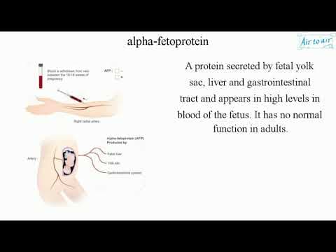 Alfa-fetoprotein i kriptorhizam