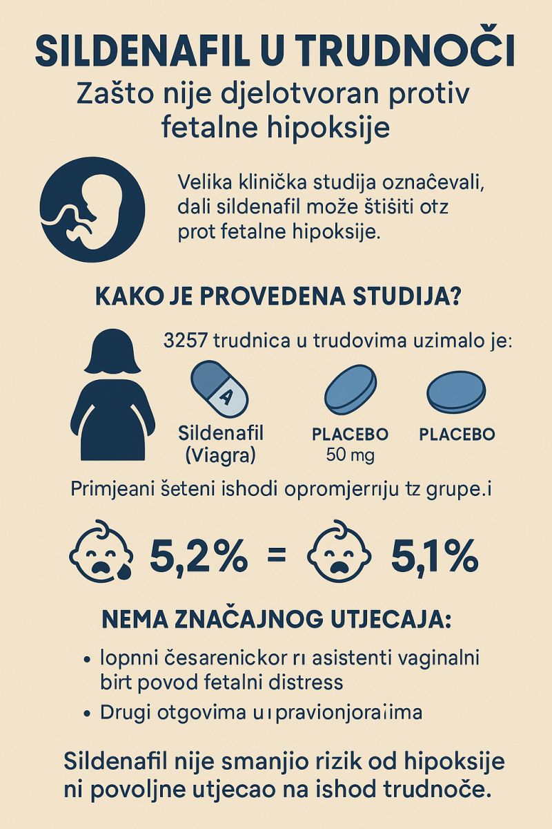 Sildenafil u trudnoći: Zašto nije djelotvoran protiv fetalne hipoksije