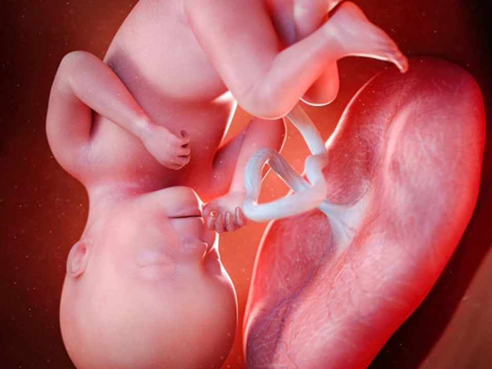 Placentarna koronavirusna infekcija možda je češća u ranoj trudnoći